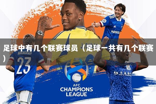 足球中有几个联赛球员(足球一共有几个联赛)