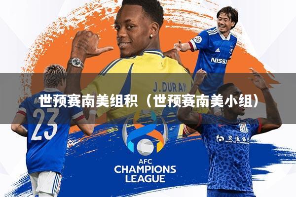 世预赛南美组积(世预赛南美小组)